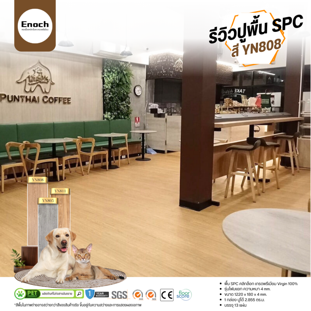 review-cafe-ร้านค้า-พื้นspc