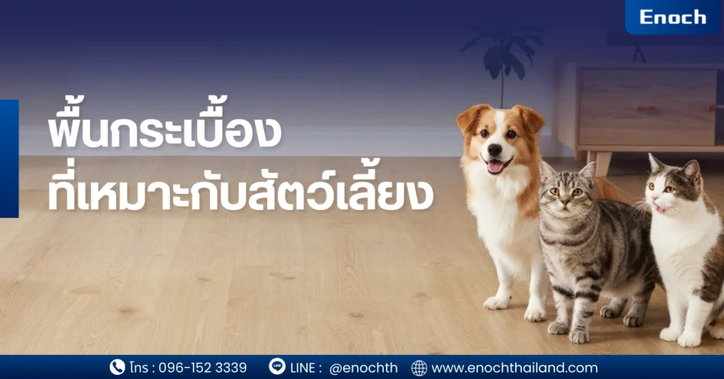 พื้น spc