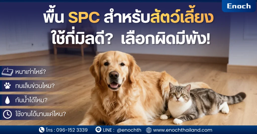 พื้น SPC สำหรับบ้านเลี้ยงสุนัขและแมว พื้น SPC ทนรอยขีดข่วนจากสัตว์เลี้ยง