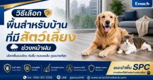 Enoch วิธีเลือกพื้นสำหรับบ้านที่มีสัตว์เลี้ยงช่วงหน้าฝน