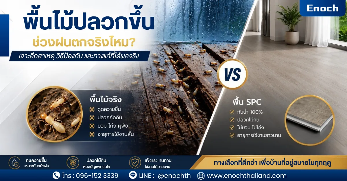 พื้นไม้ปลวกขึ้นช่วงฝนตกจริงไหม?