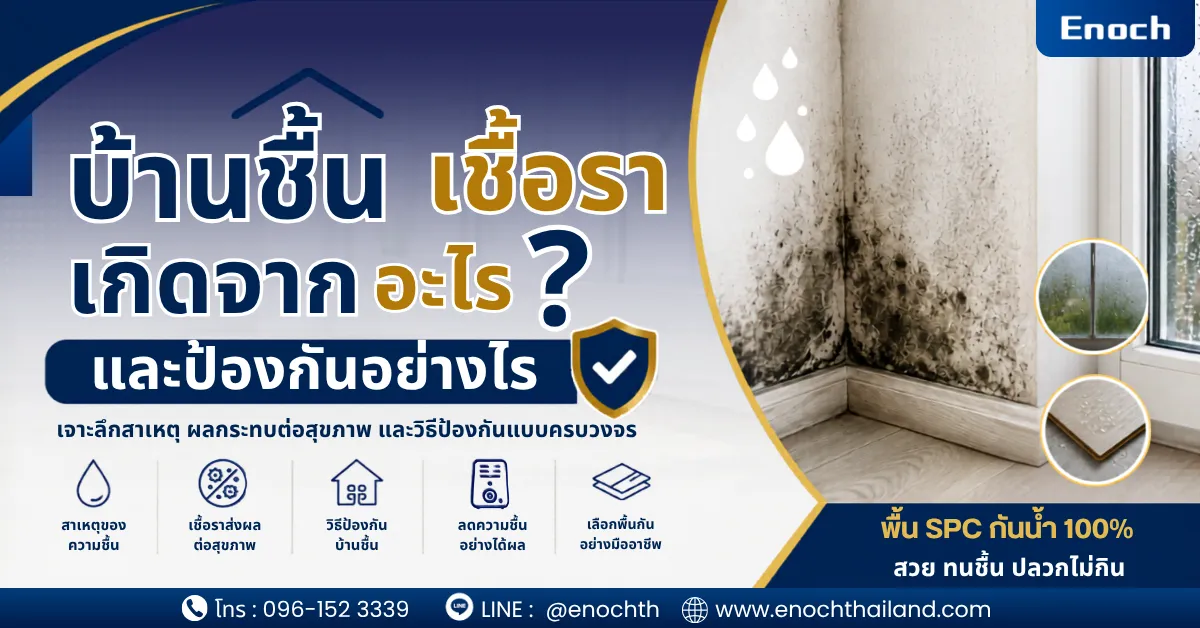 บ้านชื้น เชื้อราเกิดจากอะไร และป้องกันอย่างไร