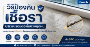 วิธีป้องกันเชื้อราบริเวณรอยต่อพื้นช่วงฤดูฝน