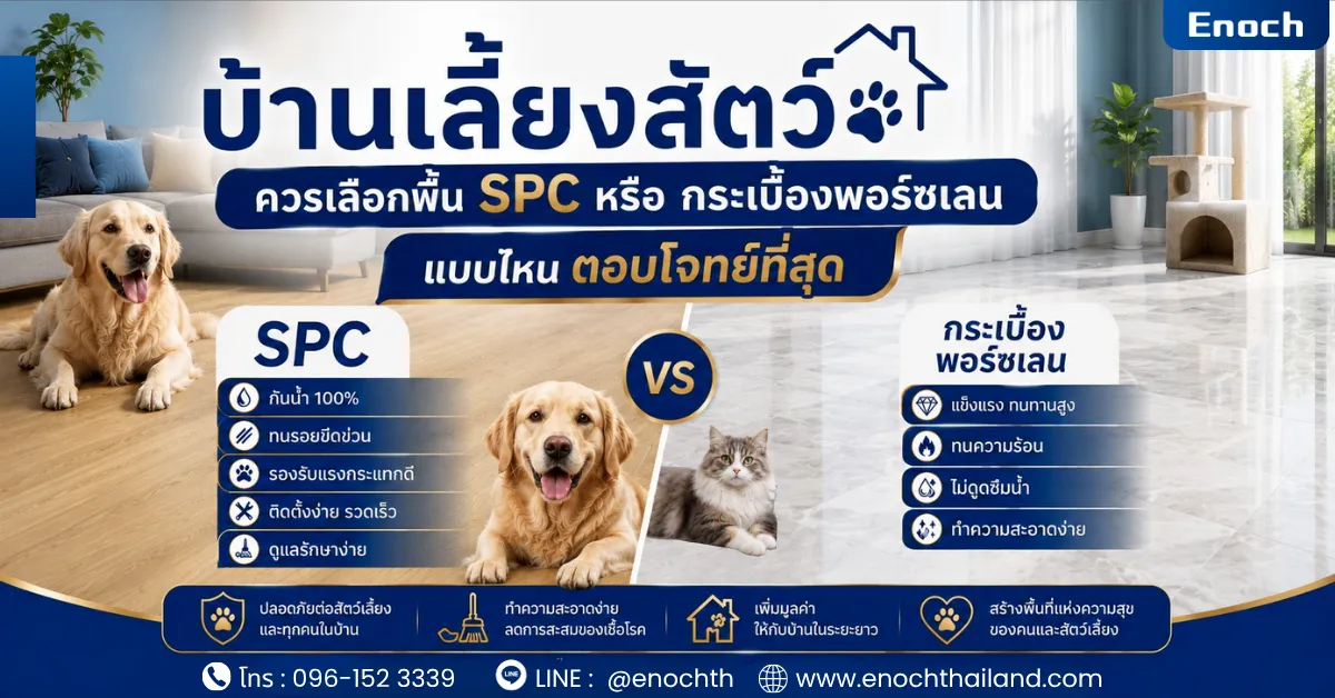 บ้านเลี้ยงสัตว์ควรเลือกพื้น SPC หรือกระเบื้องพอร์ซเลน แบบไหนตอบโจทย์ที่สุด