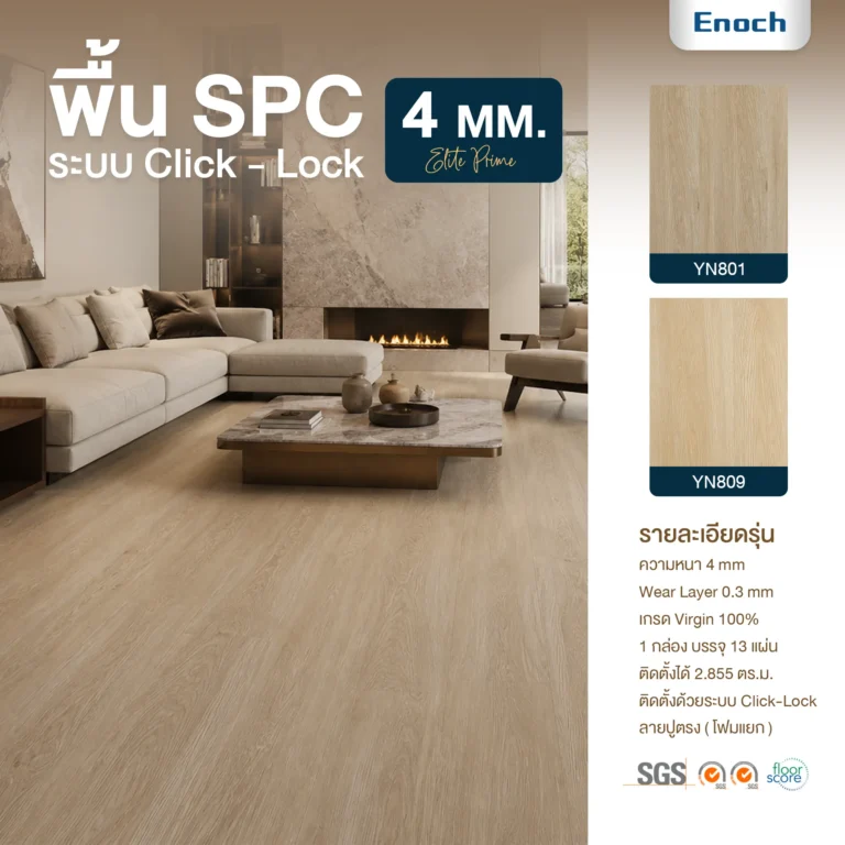 Catalog 4mm premium